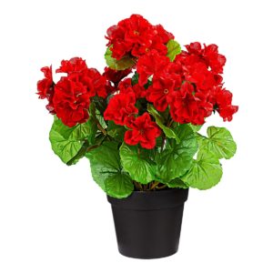Geranium artificiel