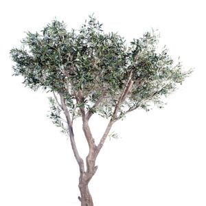 Olivier artificiel géant traite anti-feu